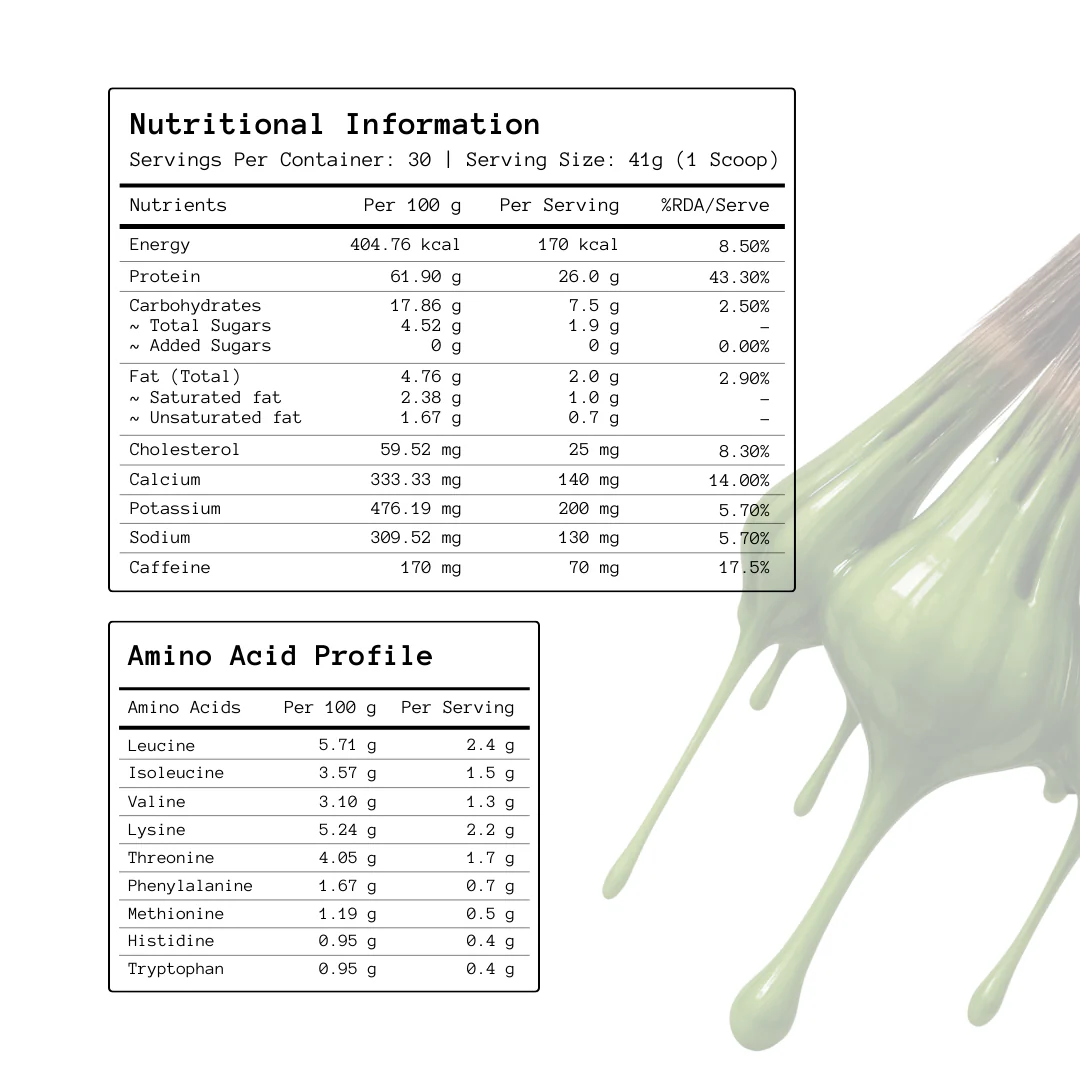 Matcha x Protein | 26 Grams Protein | Polmlek® 30 Servings - Image 7